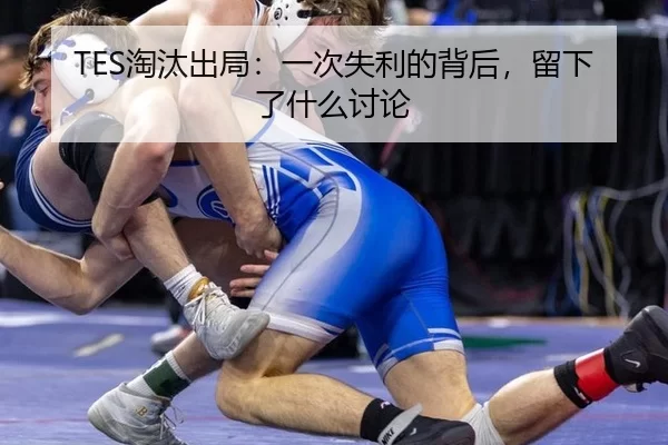 TES淘汰出局：一次失利的背后，留下了什么讨论 - okooo